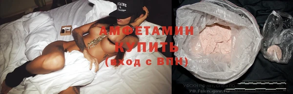 ПСИЛОЦИБИНОВЫЕ ГРИБЫ Баксан