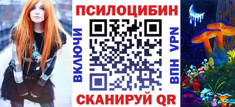 где продают   Бодайбо  Псилоцибиновые грибы прущие грибы 